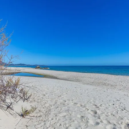 Pino بيت للعطل *