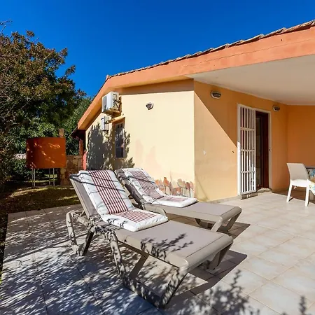 Pino * كوستا ري